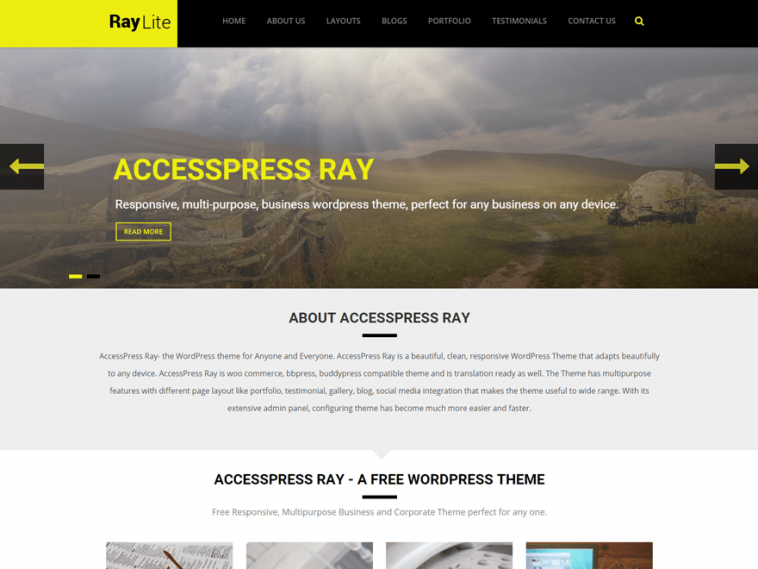 AccessPress Ray 1.19.3 1.jpg