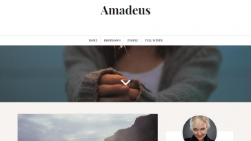 Amadeus 2.0.7 1.jpg