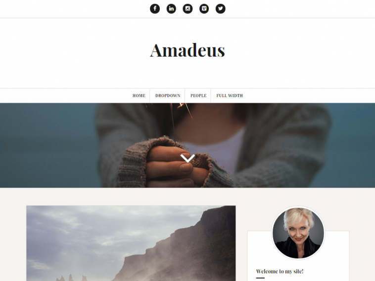 Amadeus 2.0.7 1.jpg