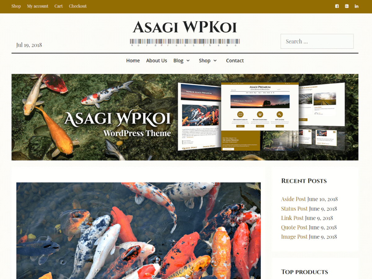 Download Asagi 1.0.8 – Free WordPress Theme