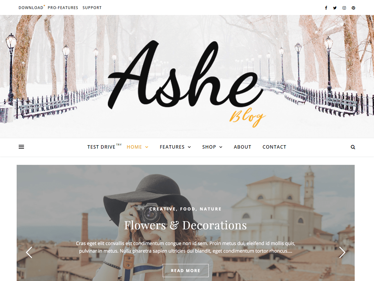 Download Ashe 1.7.6 – Free WordPress Theme