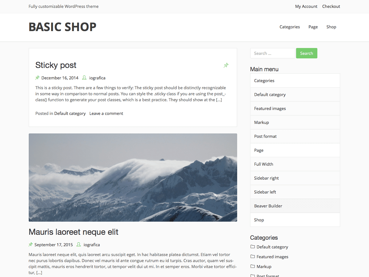 Download Basic Shop 1.11 – Free WordPress Theme