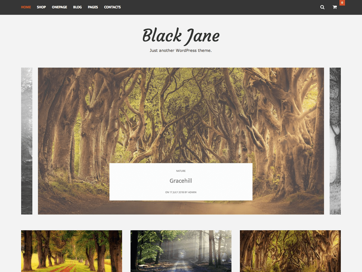 Download Black Jane 1.0.1 – Free WordPress Theme