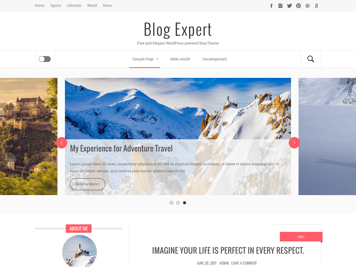 Download Blog Expert 1.0.5 – Free WordPress Theme