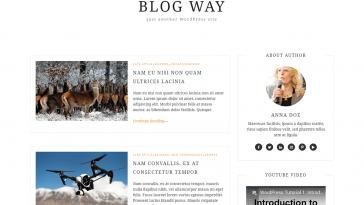 Blog Way 3.0.1 1.jpg