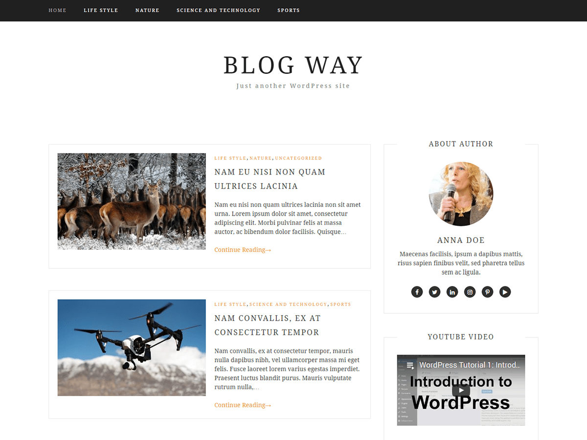 Download Blog Way 3.0.1 – Free WordPress Theme