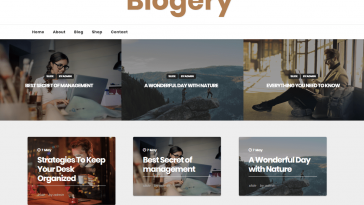 Blogery 0.4 1.jpg