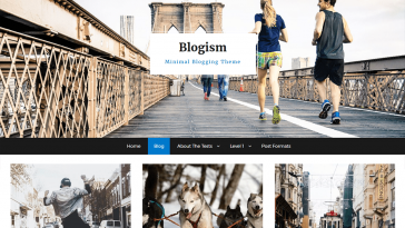 Blogism 1.0.4 1.jpg