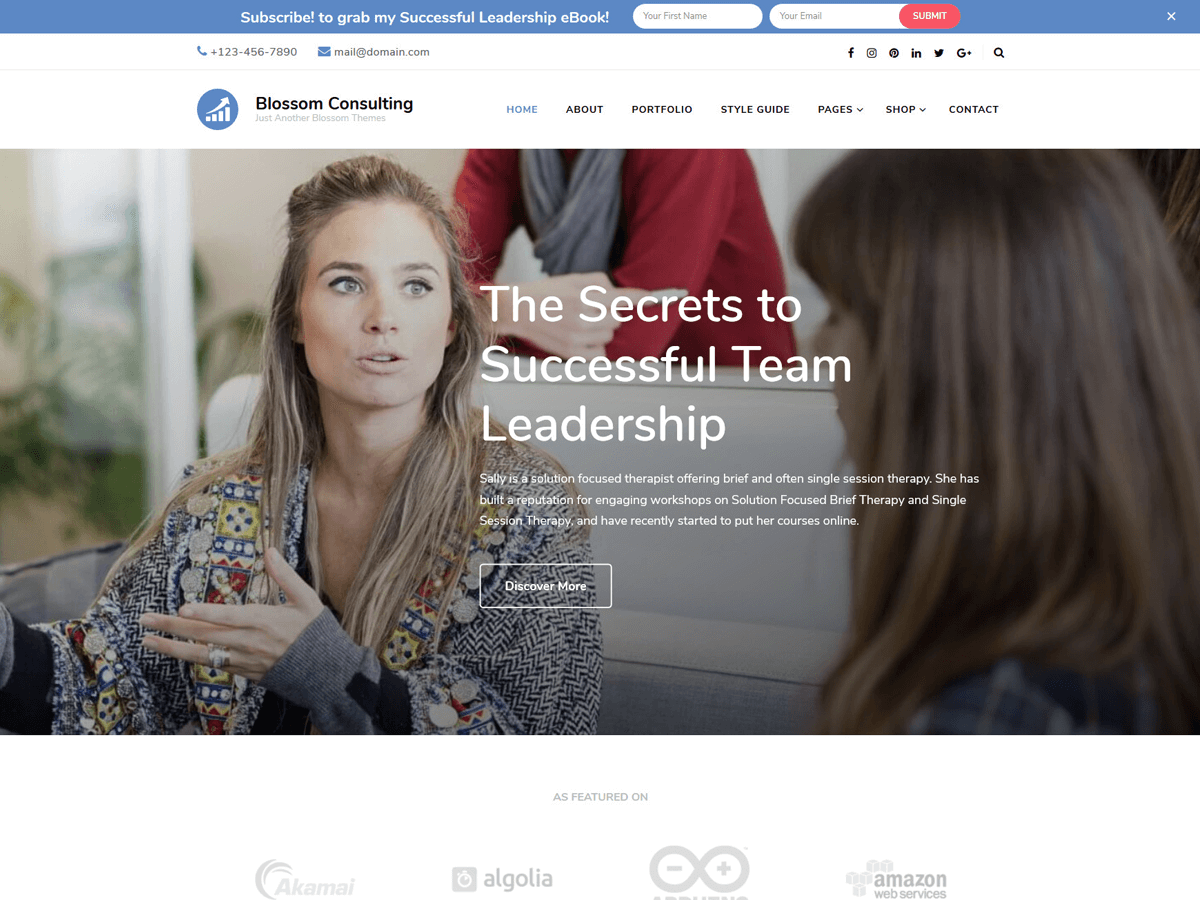 Download Blossom Consulting 1.0.1 – Free WordPress Theme