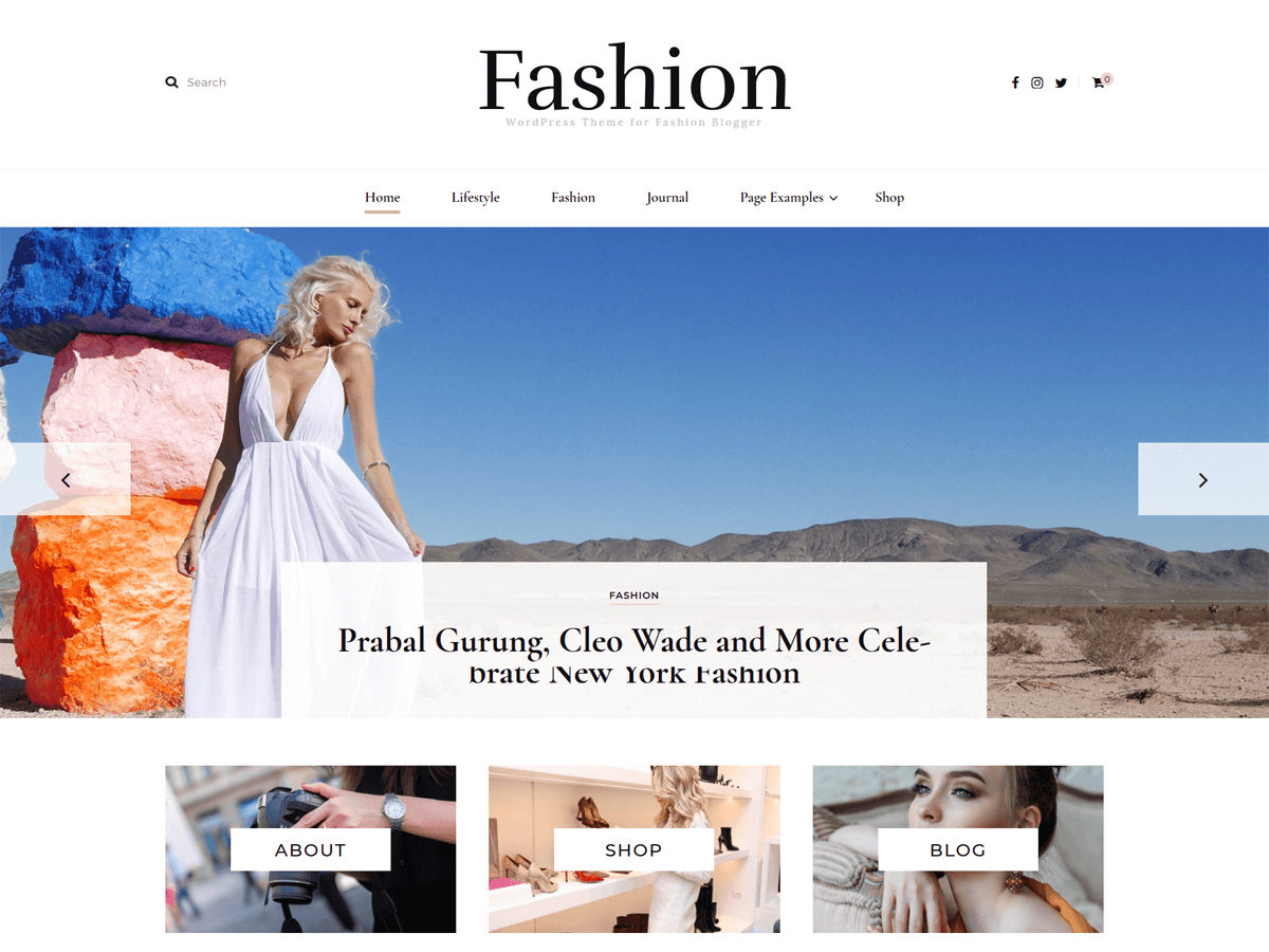 Download Blossom Fashion 1.1.4 – Free WordPress Theme