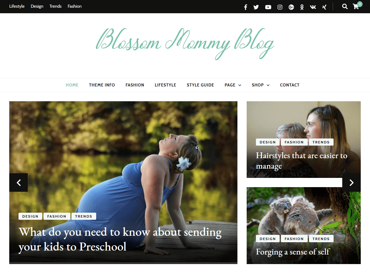 Download Blossom Mommy Blog 1.0.0 – Free WordPress Theme