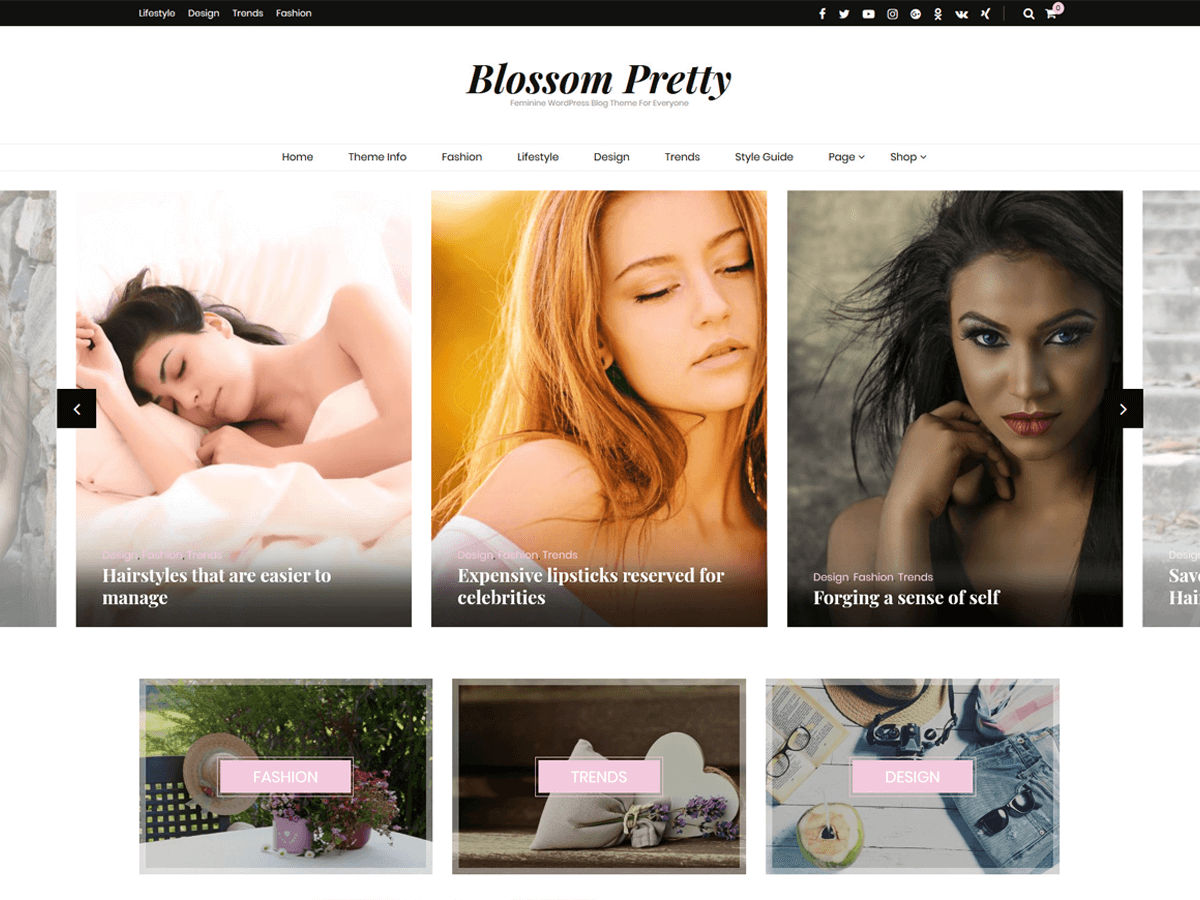Download Blossom Pretty 1.0.0 – Free WordPress Theme