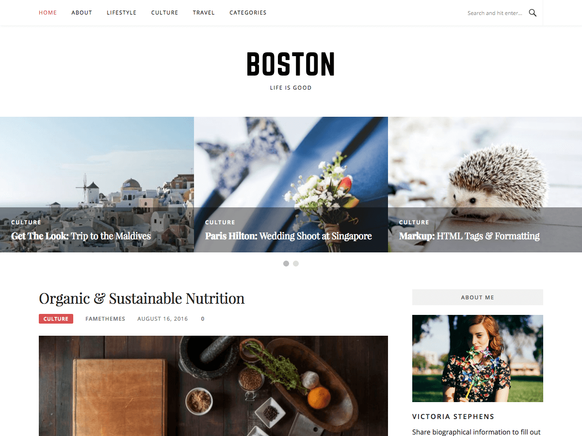 Download Boston 1.1.2 – Free WordPress Theme