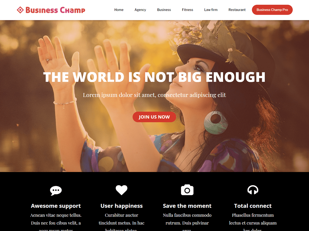 Download Business Champ 1.0.3 – Free WordPress Theme