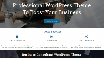 Business Consultant 1.1.9 1.jpg