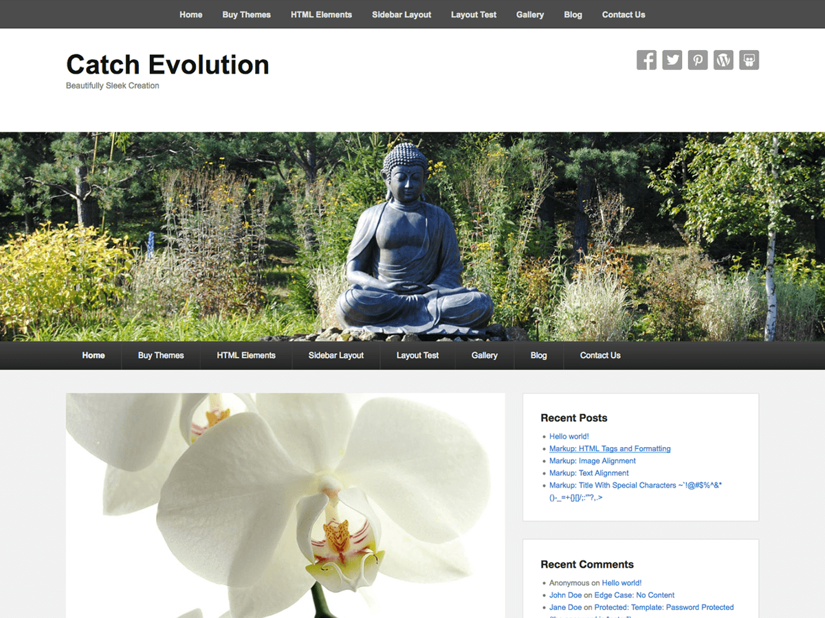 Download Catch Evolution 3.0.4 – Free WordPress Theme