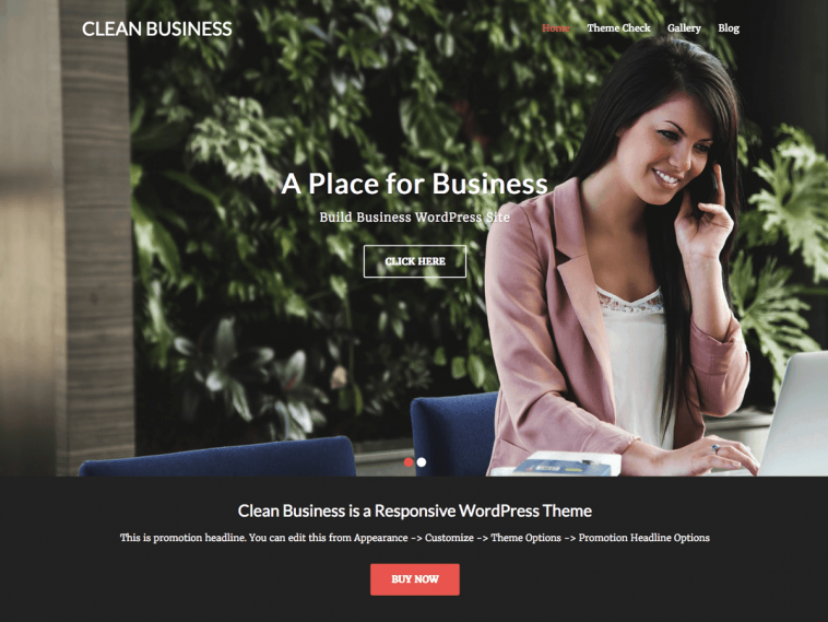 Clean Business 1.2 1.jpg