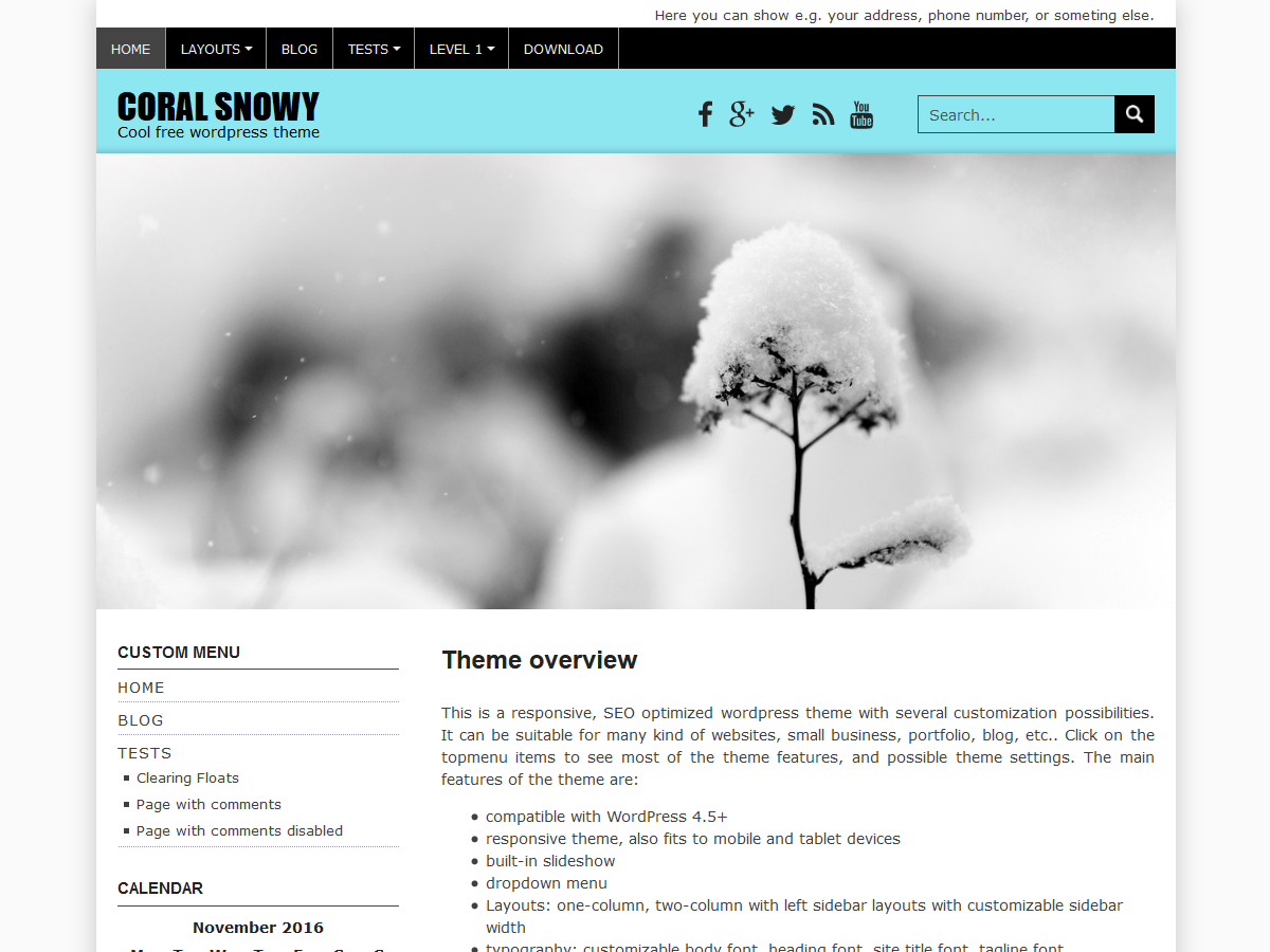 Download Coral Snowy 1.0.5 – Free WordPress Theme