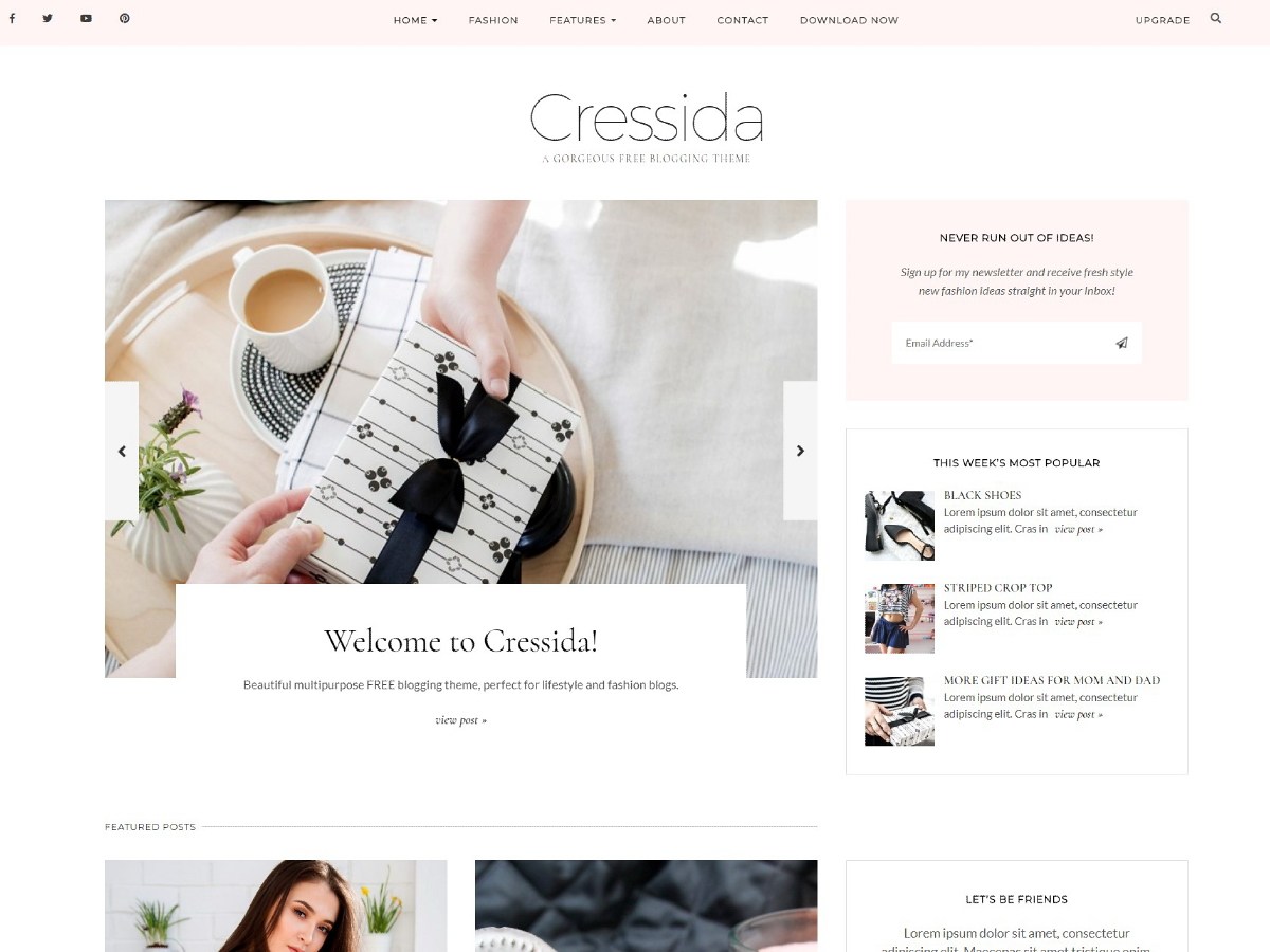 Download Cressida 1.1 – Free WordPress Theme