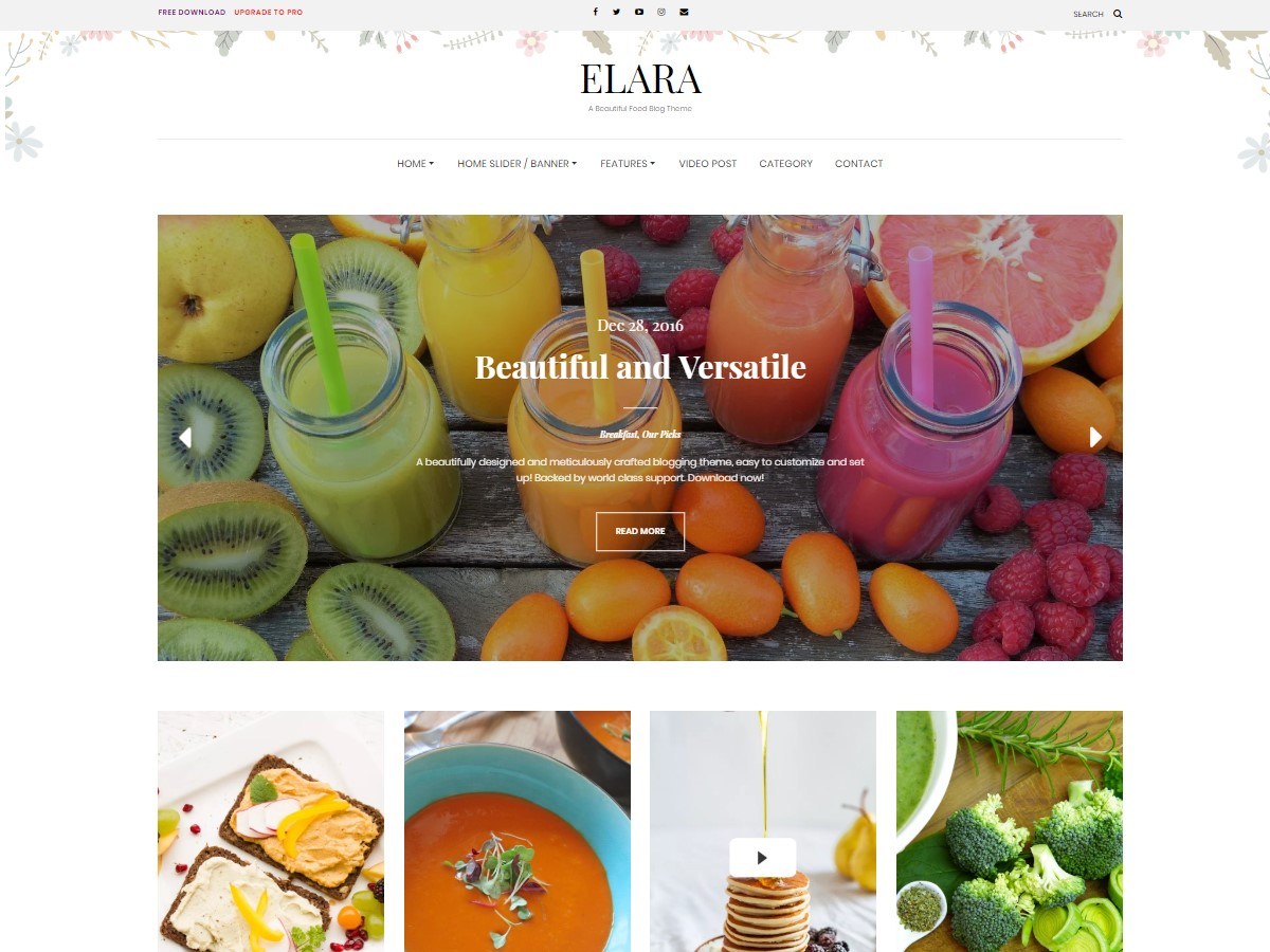 Download Elara 1.3.1 – Free WordPress Theme