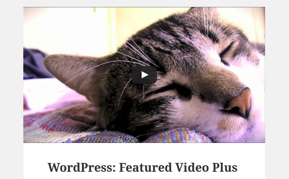 Download Featured Video Plus 2.3.3 – Free WordPress Plugin