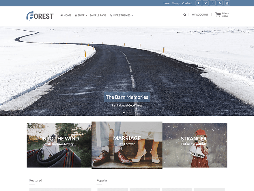 Download Forest 1.0.6 – Free WordPress Theme