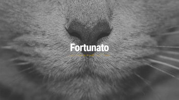 Fortunato 1.7.6 1.jpg