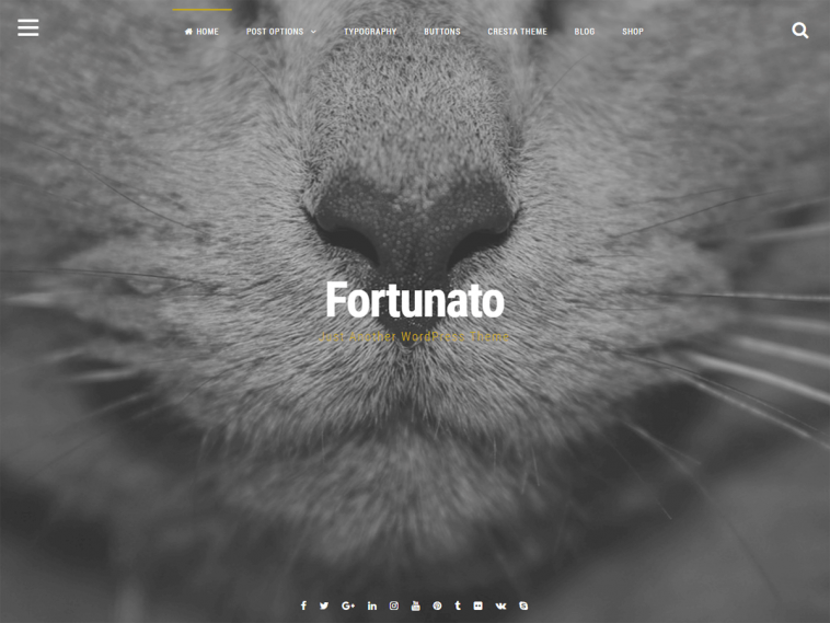 Fortunato 1.7.6 1.jpg
