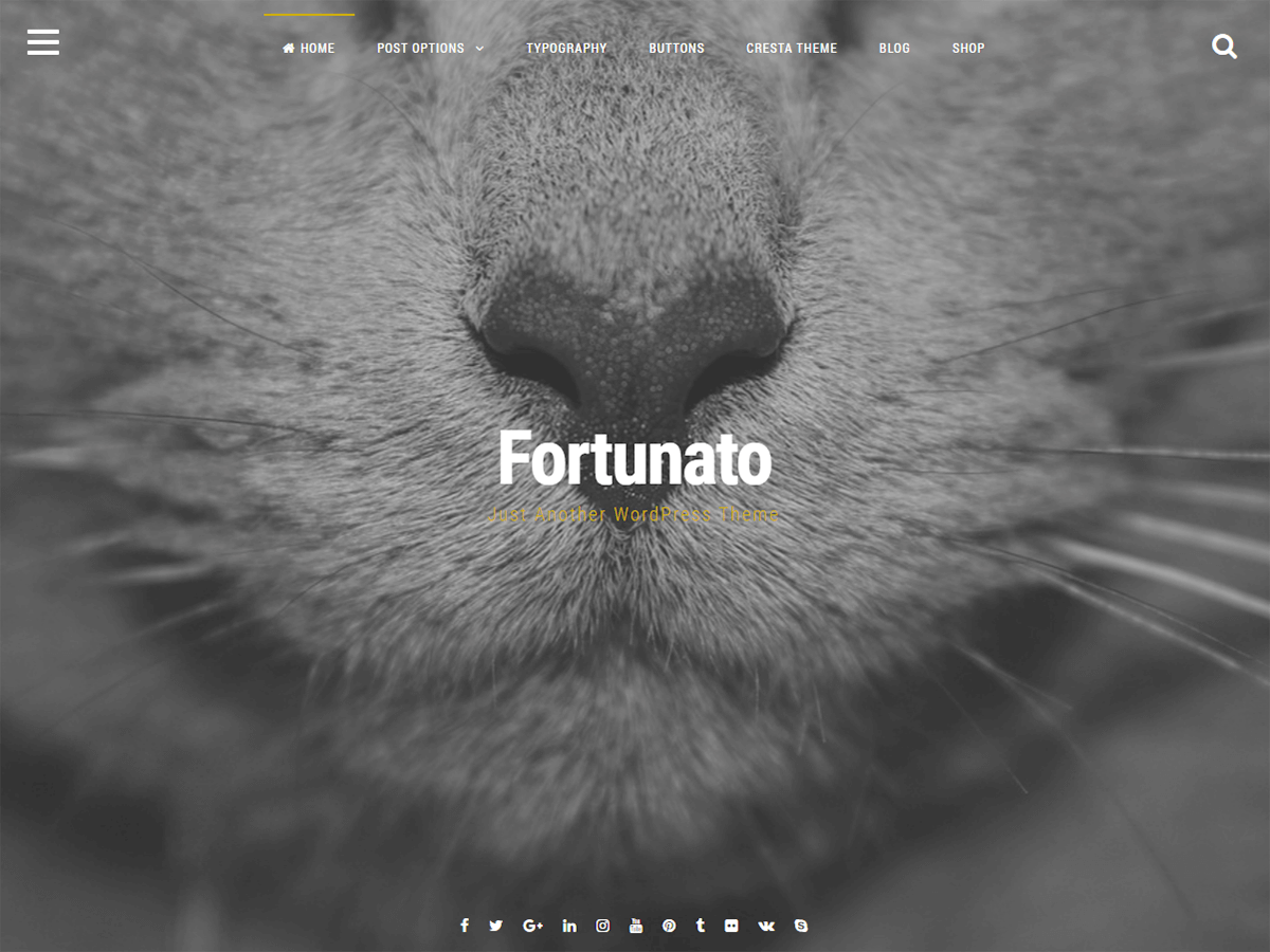 Download Fortunato 1.7.6 – Free WordPress Theme
