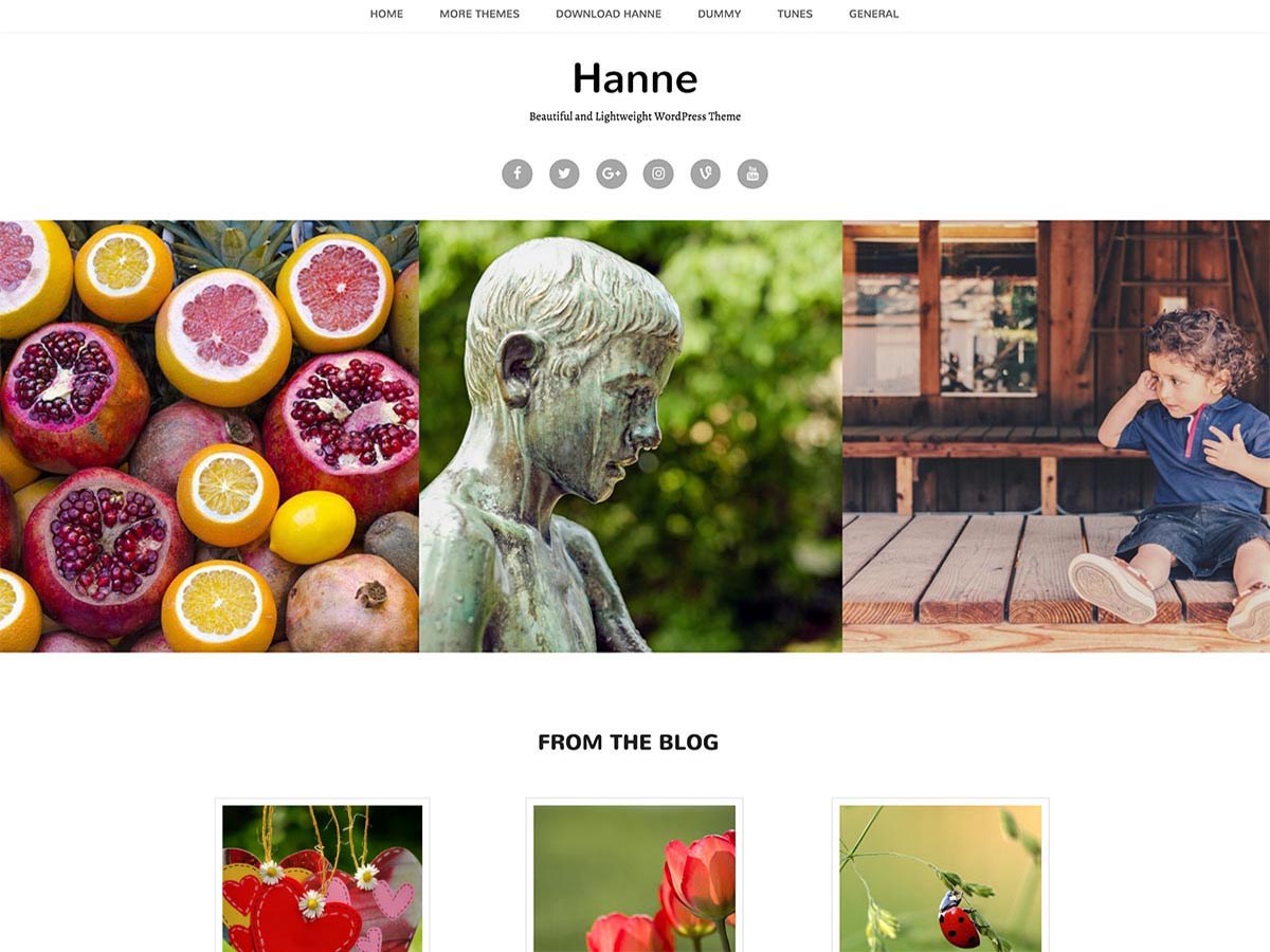 Download Hanne 1.0.6 – Free WordPress Theme