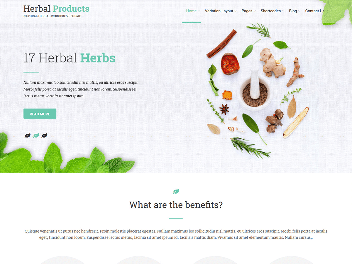 Download Herbal Lite 1.2 – Free WordPress Theme