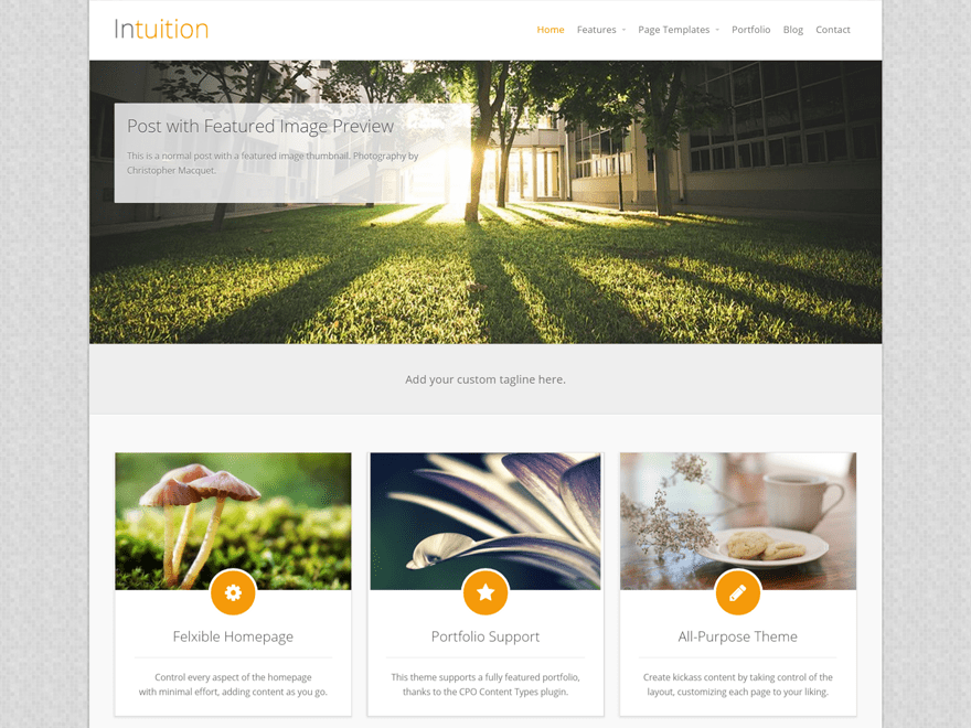 Download Intuition 1.3.7 – Free WordPress Theme