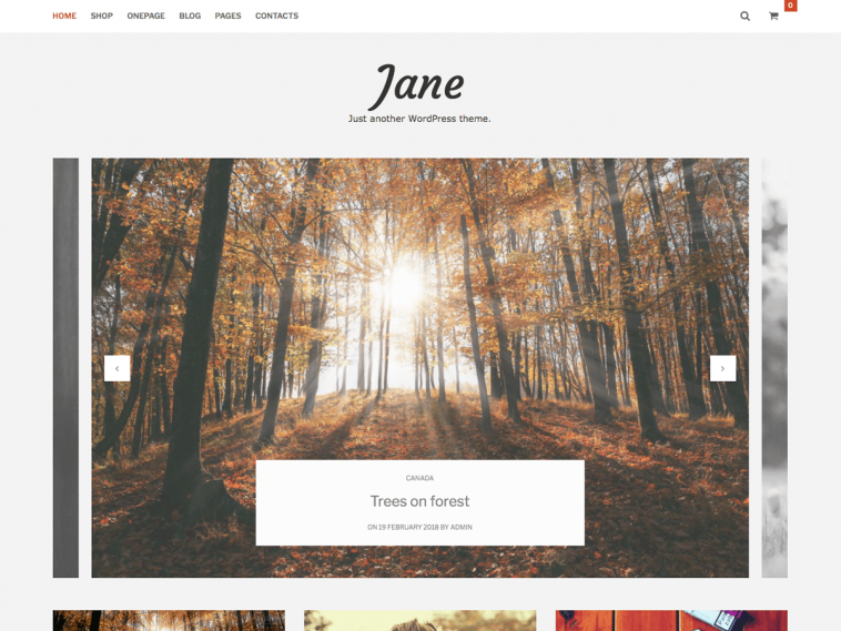 Jane Lite 1.0.3 1.jpg