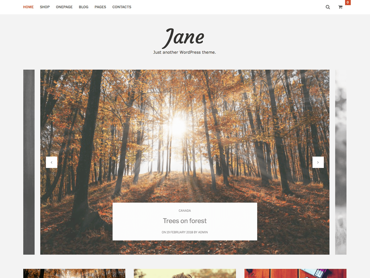 Download Jane Lite 1.0.3 – Free WordPress Theme