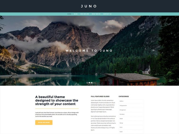 Juno 1.1.5 1