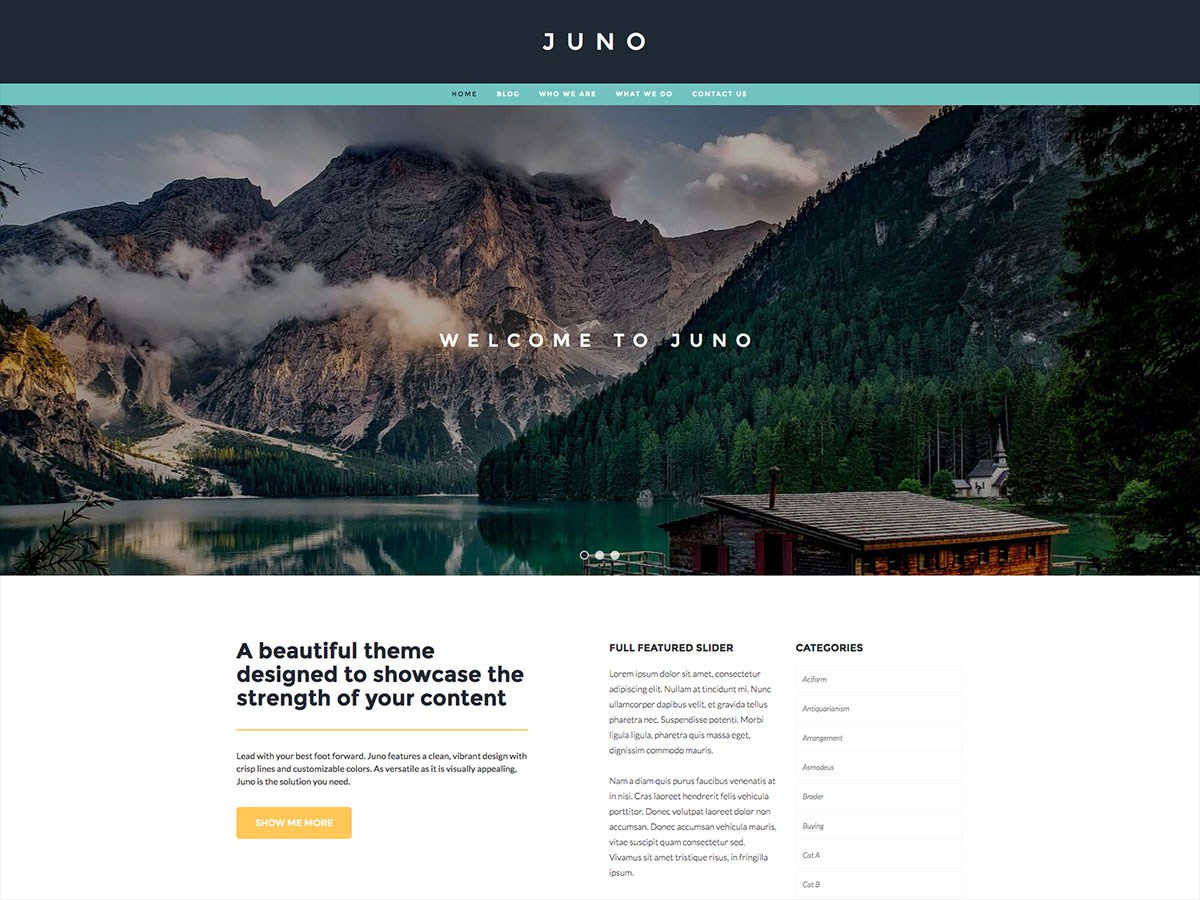 Download Juno 1.1.5 – Free WordPress Theme
