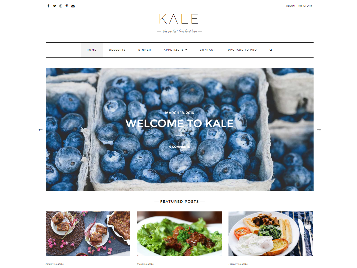 Download Kale 2.4.2 – Free WordPress Theme