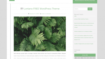 Lontano 1.3.9 1.jpg