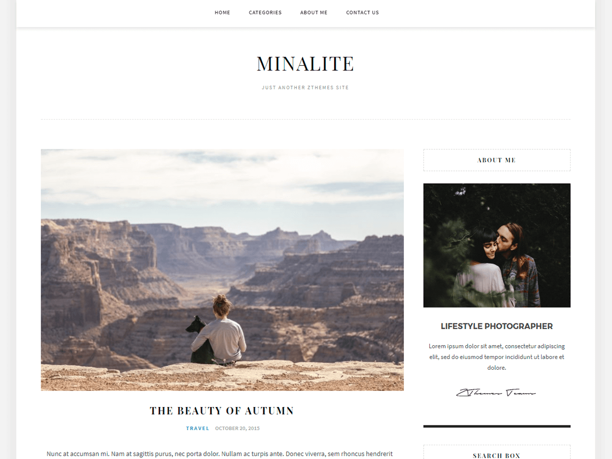 Download MinaLite 1.0.3 – Free WordPress Theme