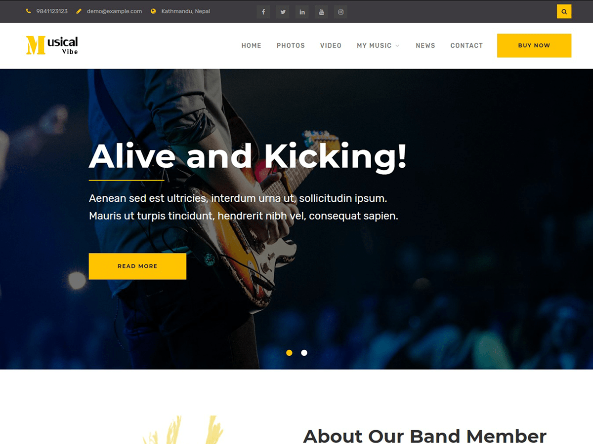 Download Musical Vibe 1.0.1 – Free WordPress Theme