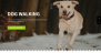 Download My Dog Lite 1.0 – Free WordPress Theme