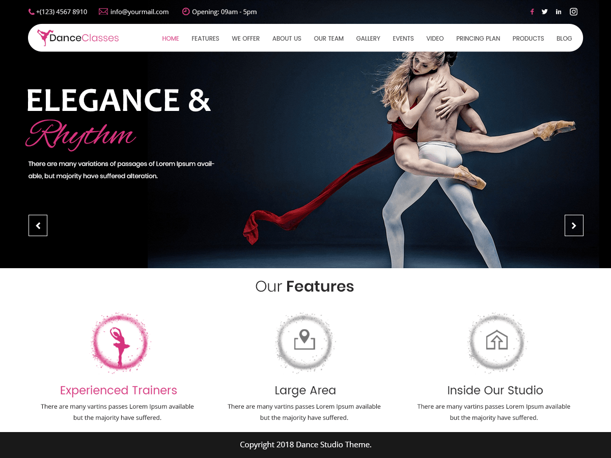Download Nataraj Dance Studio 0.1 – Free WordPress Theme