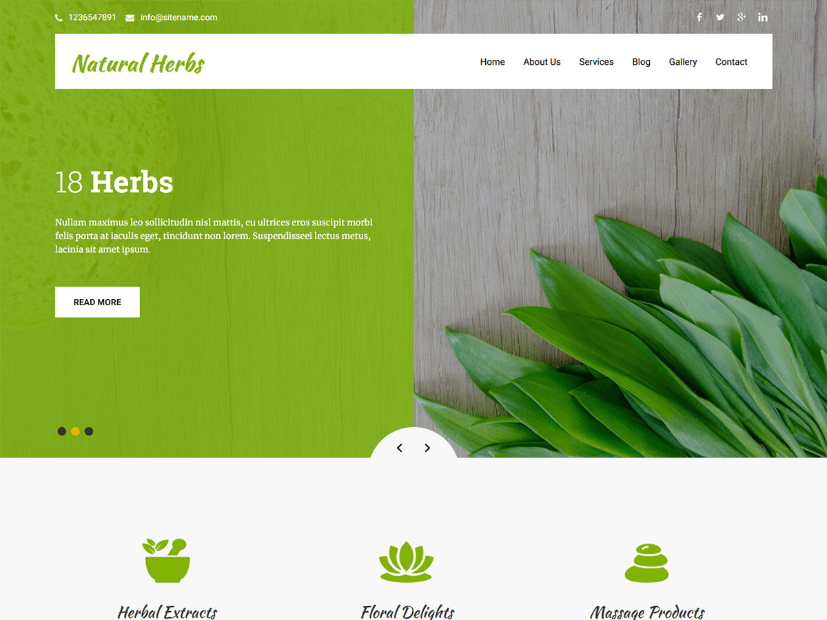 Download Natural Herbs Lite 1.1 – Free WordPress Theme