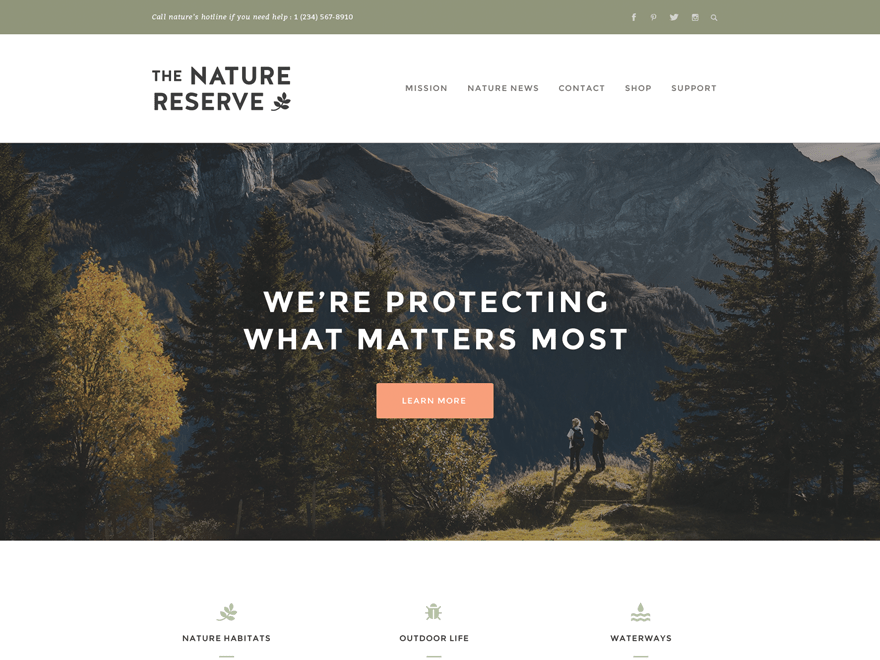 Download Naturelle 1.0.5 – Free WordPress Theme