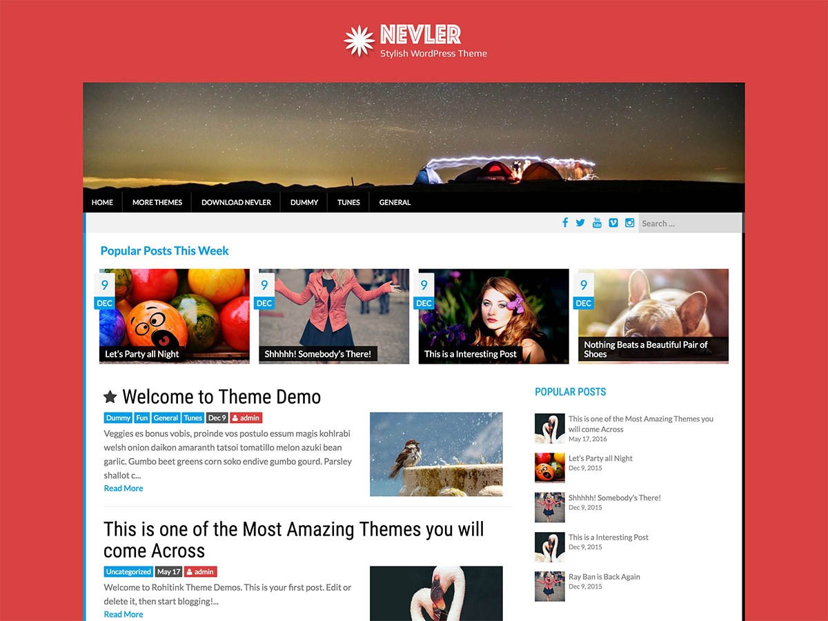 Download Nevler 1.1.0 – Free WordPress Theme