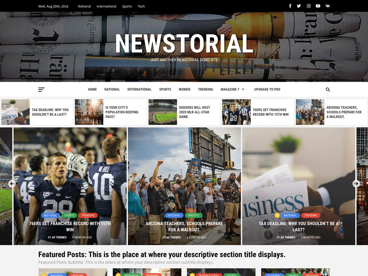 Download Newstorial 1.0.0 – Free WordPress Theme