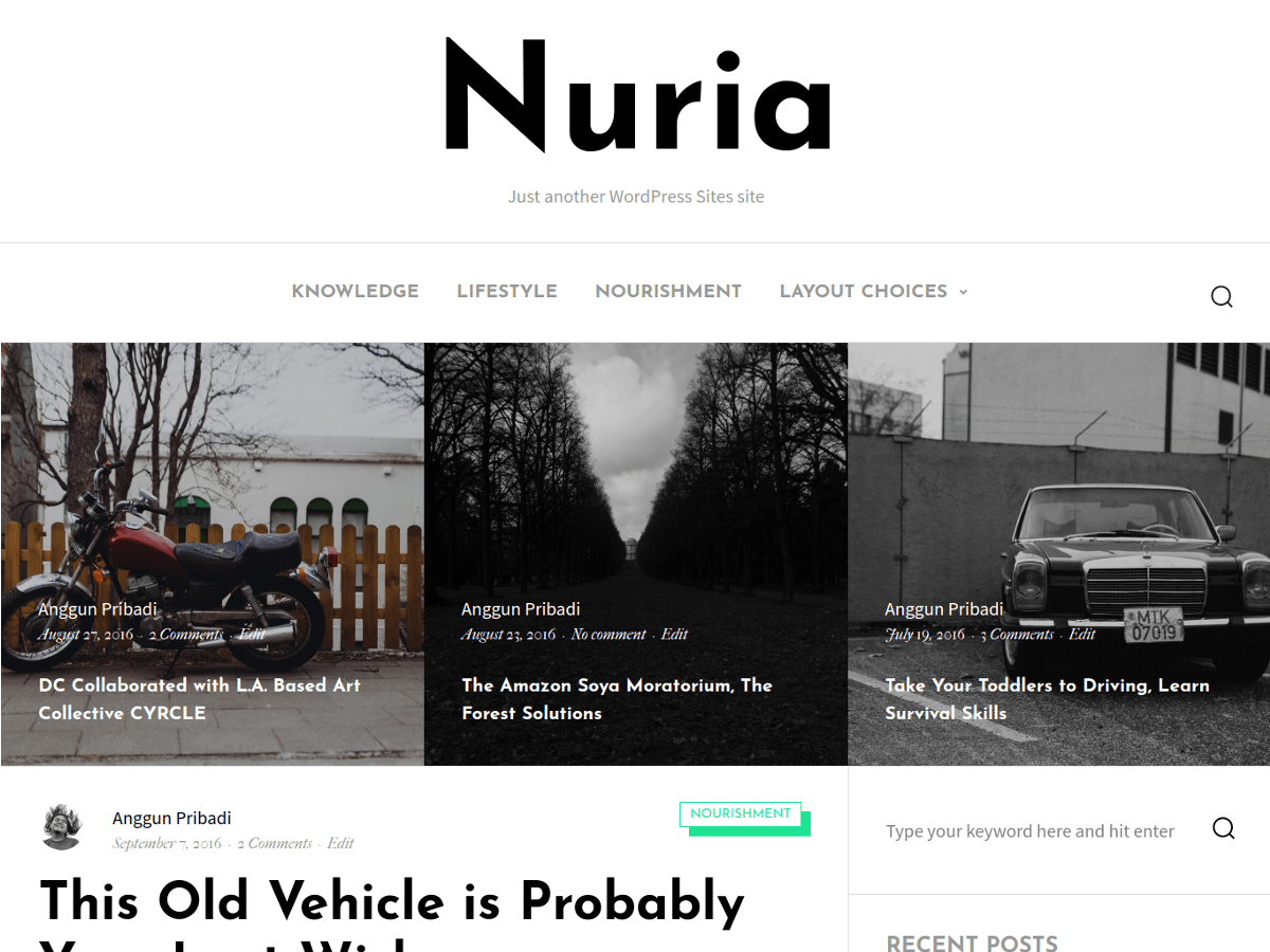 Download Nuria 1.0.6 – Free WordPress Theme