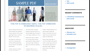 PDF Embedder 3.2 1.jpg