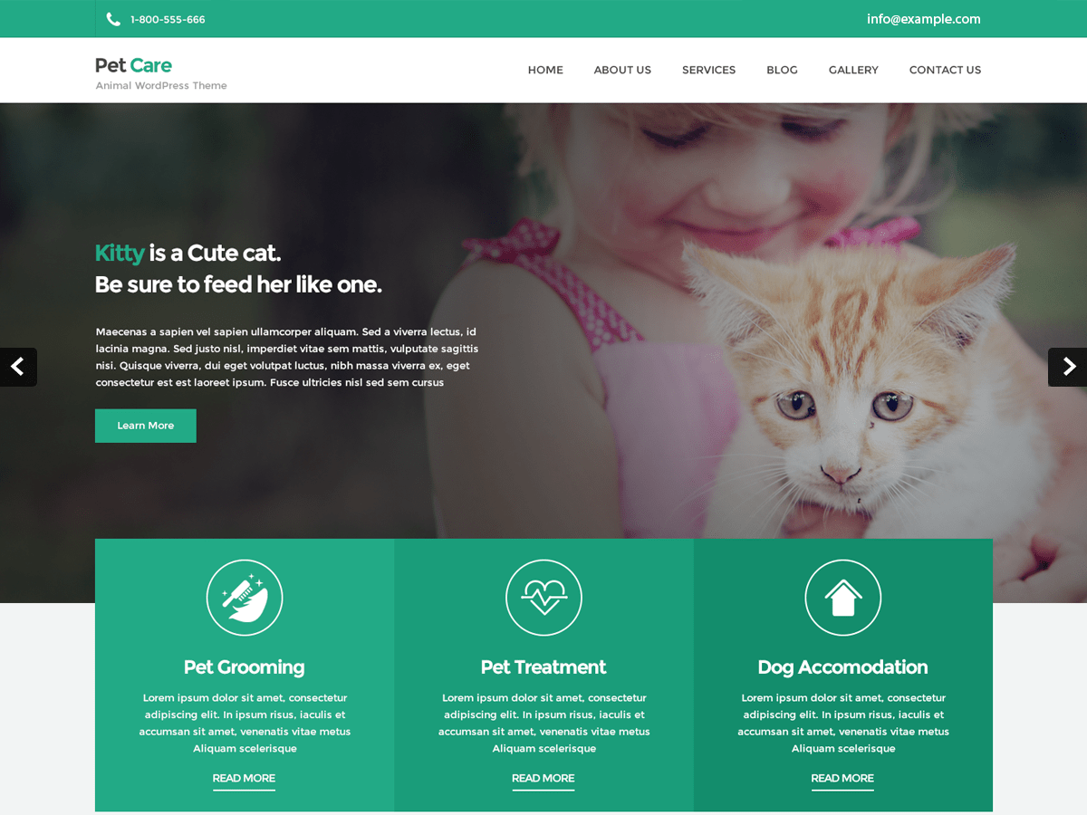 Download Petcare Lite 1.1 – Free WordPress Theme