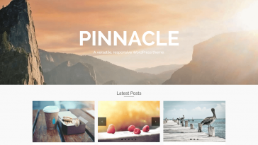 Pinnacle 1.6.5 1.jpg